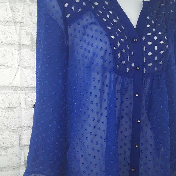Signature Studio Blouse Womens Small Blue Swiss Dot Eyelet Button Down Top Sheer - Picture 4 of 8